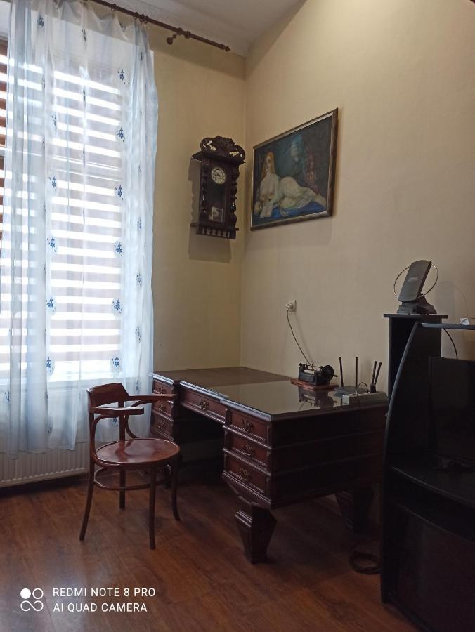 Kozatski Apartments Lviv Kültér fotó